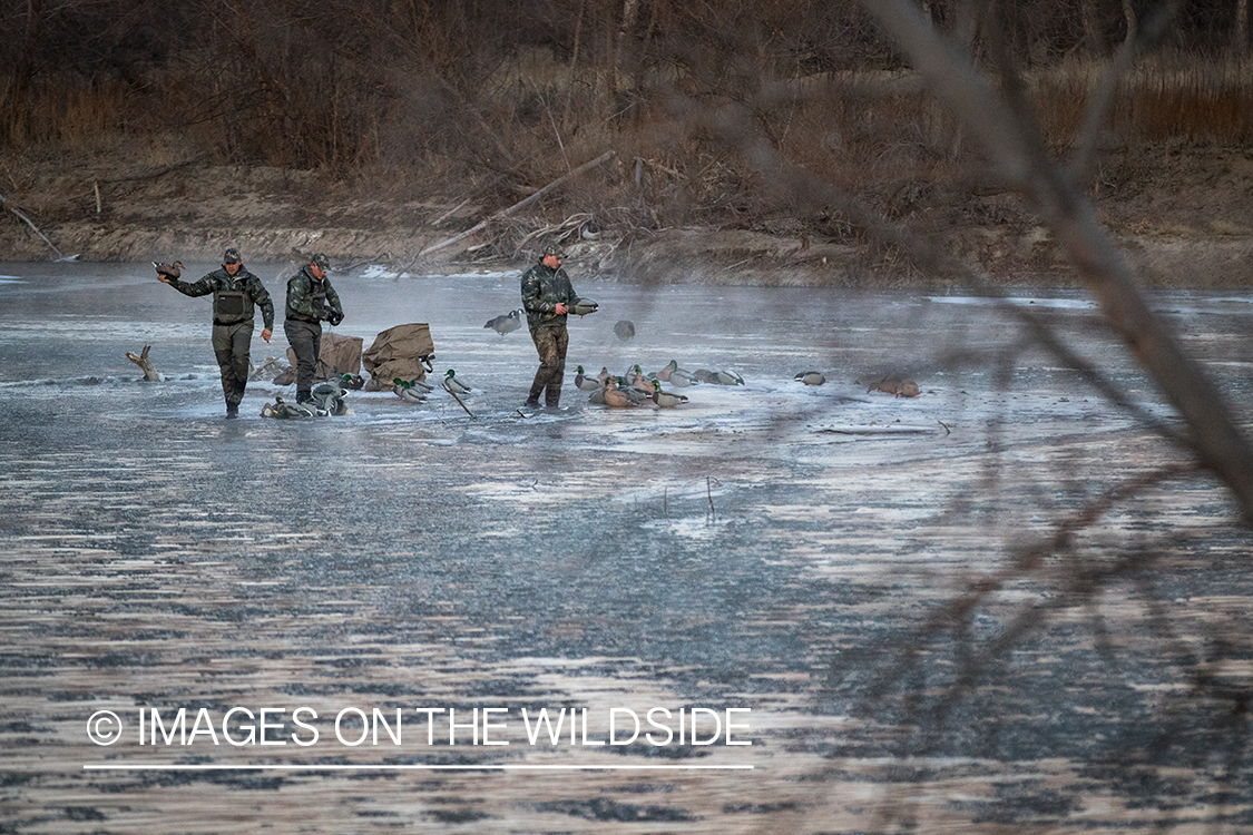 Waterfowl hunting