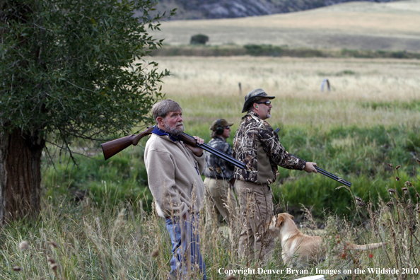 Dove Hunting