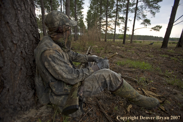 Turkey hunter calling in the field