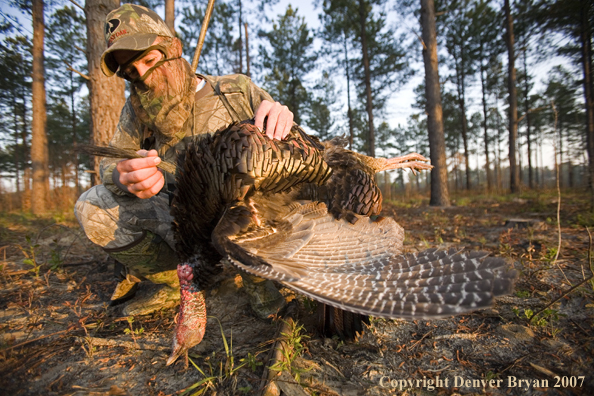 Turkey hunter in field with bagged bird