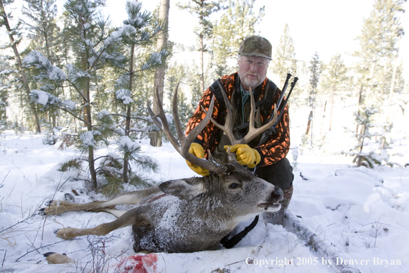 Mule deer hunter with downed buck.