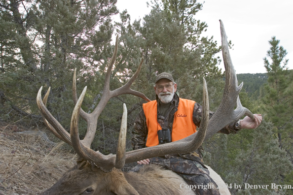 Big game hunter with bagged elk.