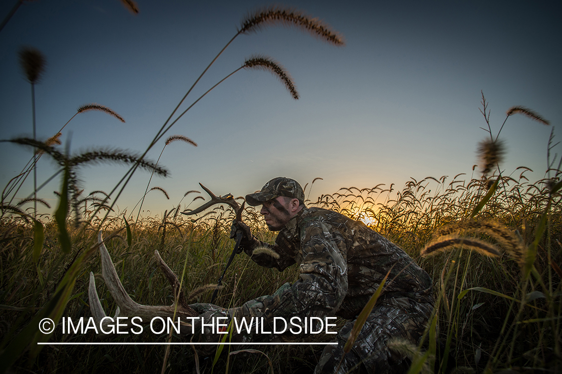 Bow hunter rattling antlers for bucks.