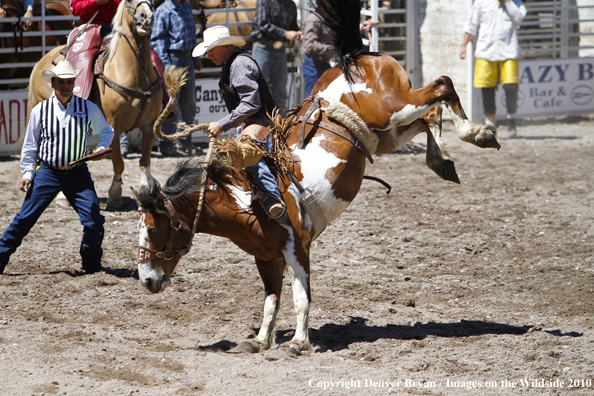 Augusta Rodeo