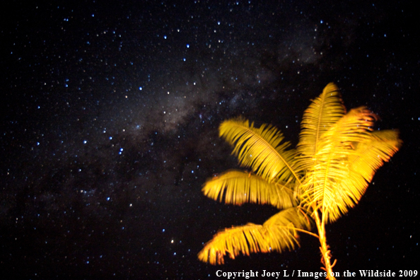 Bolivian night sky