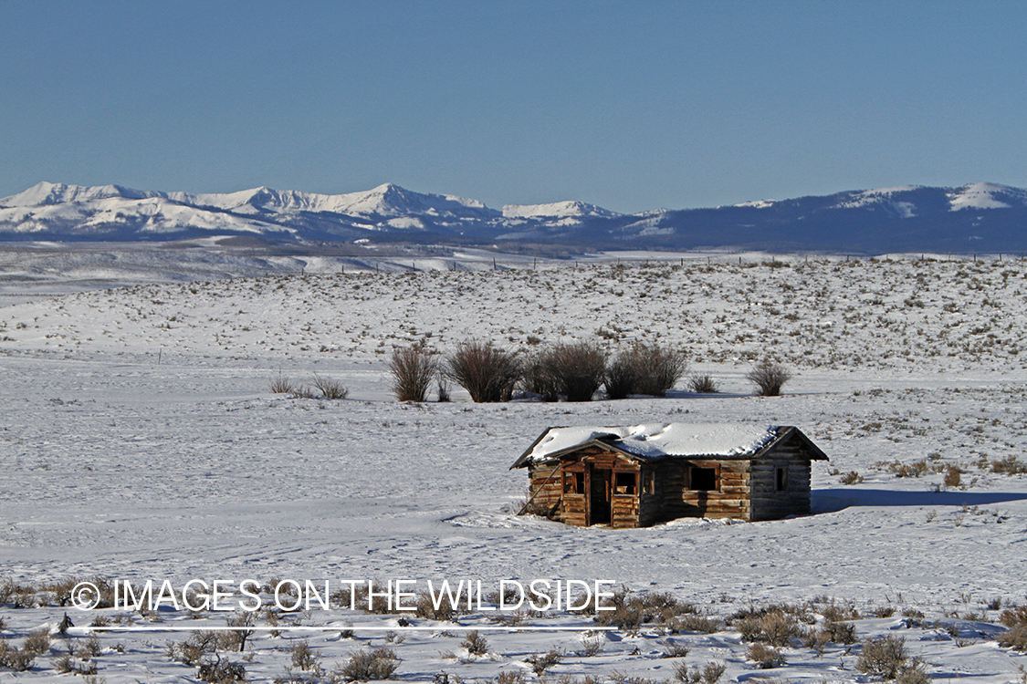 A old homestead in high mountain desert in Wyoming.