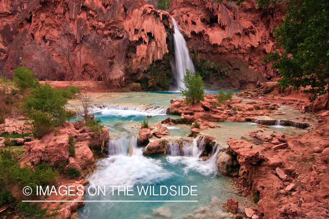 Havasu Falls