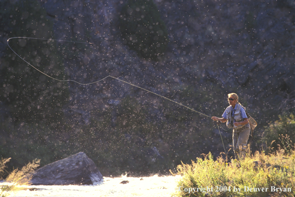 Woman flyfisher fishing.