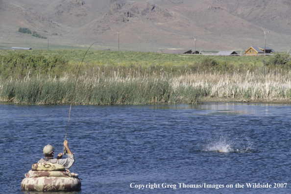 Flyfisherman fighting fish