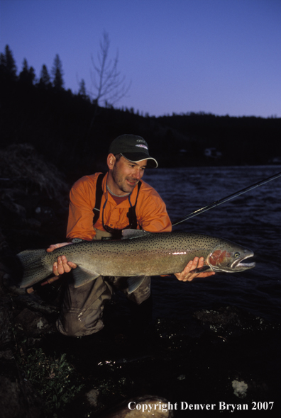 Flyfisherman releasing steelhead.