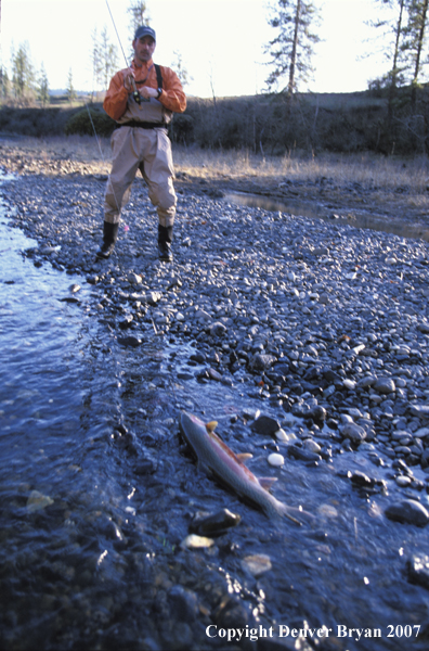 Fisherman landing steelhead. 