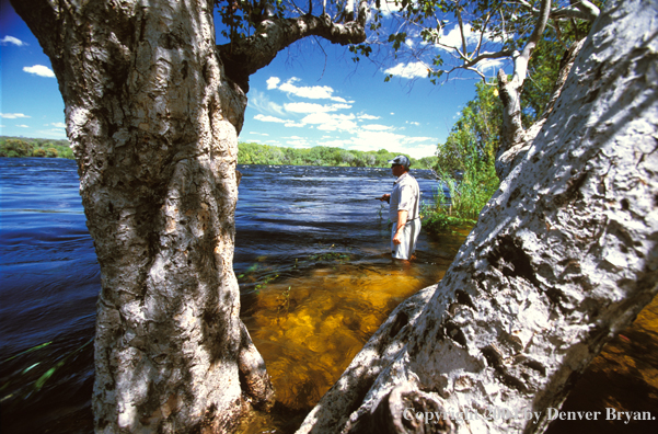 Flyfisherman fishing for tigerfish.