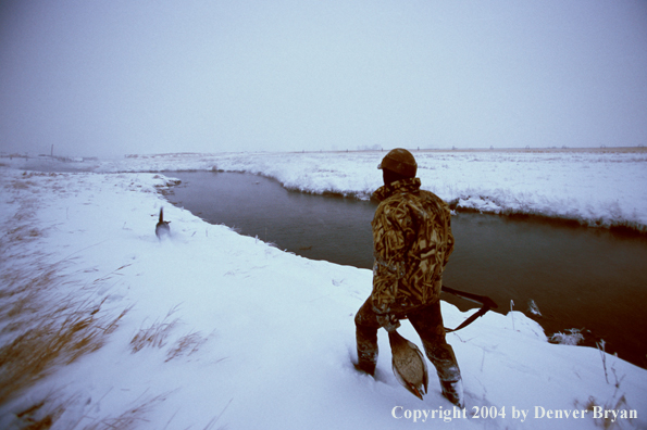 Waterfowl hunter with bagged ducks and black Lab. 