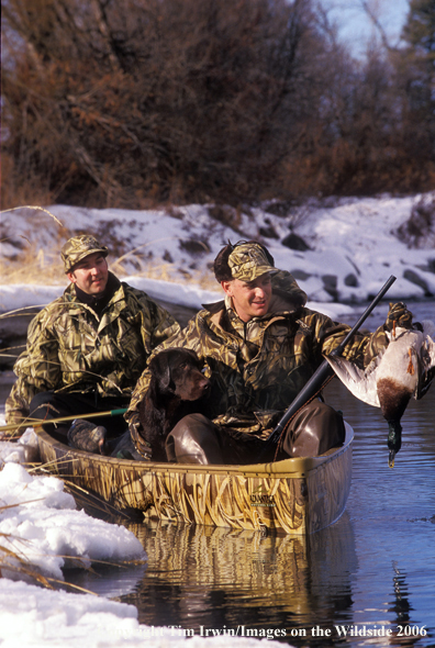 Duck hunters with bagged duck hunting from canoe with chocolate Labrador Retriever.