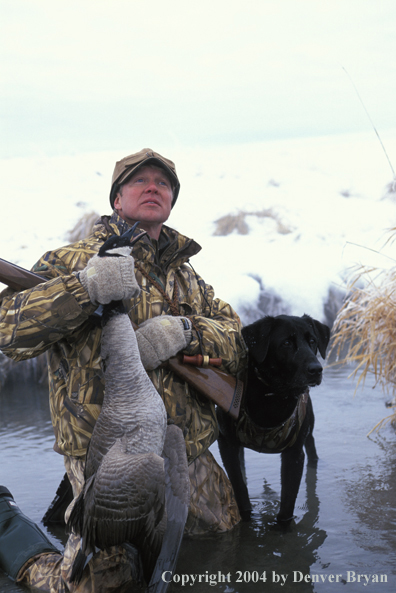 Waterfowl hunter and black Lab with bagged goose.