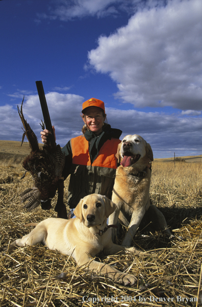 Upland game bird hunter with bagged pheasant and yellow Labs.