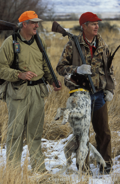 Upland bird hunters with English Setter.