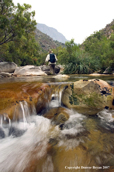 Flyfisherman casting on river.