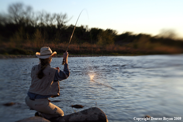 Woman flyfishing