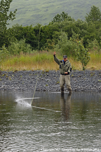 Flyfisherman fighting trout/salmon on Kodiak Island, Alaska. 