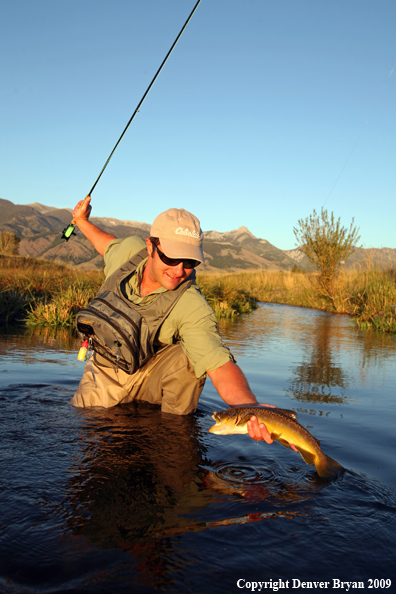 Flyfisherman landing Brown Trout