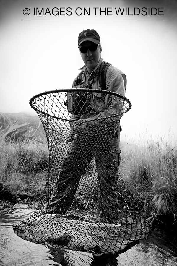 Flyfisherman with netted brown trout. 