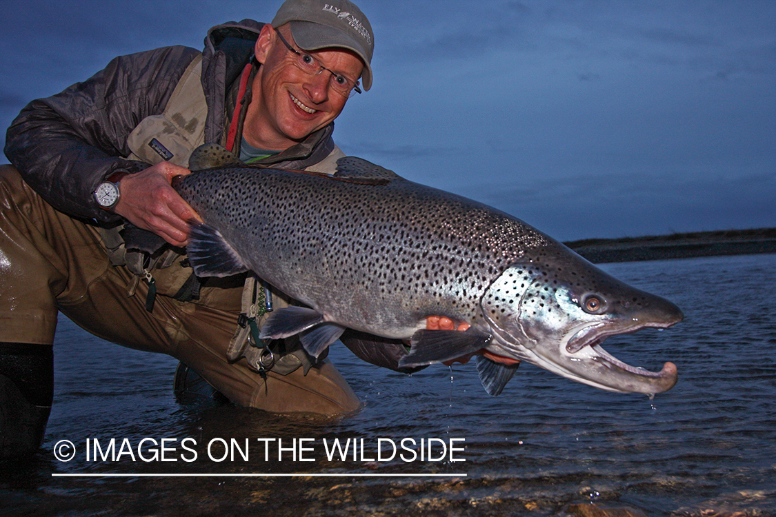 Flyfisherman with sea run brown trout in Patagonia, Argentina.