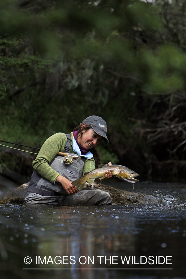 Flyfishing woman releasing brown trout.