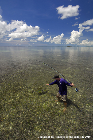 Saltwater Flyfishing 