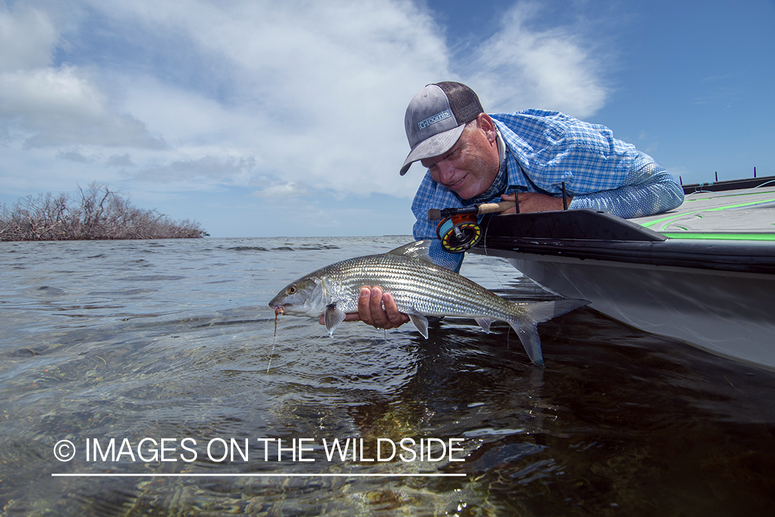 Flyfisherman releasing bonefish.