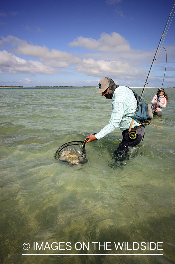 Flyfisherman with Peachy Triggerfish.