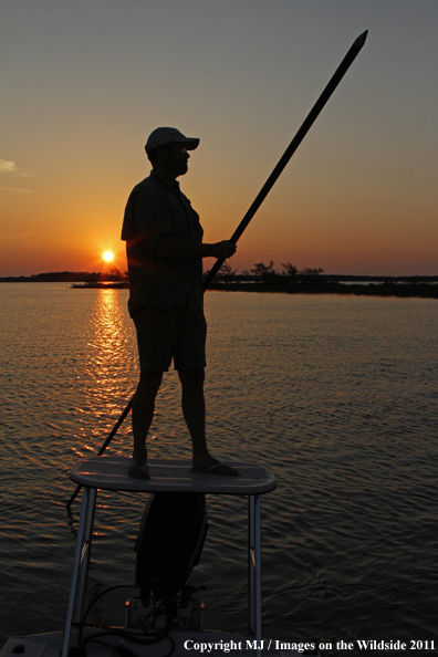 Guide poling flats boat. 