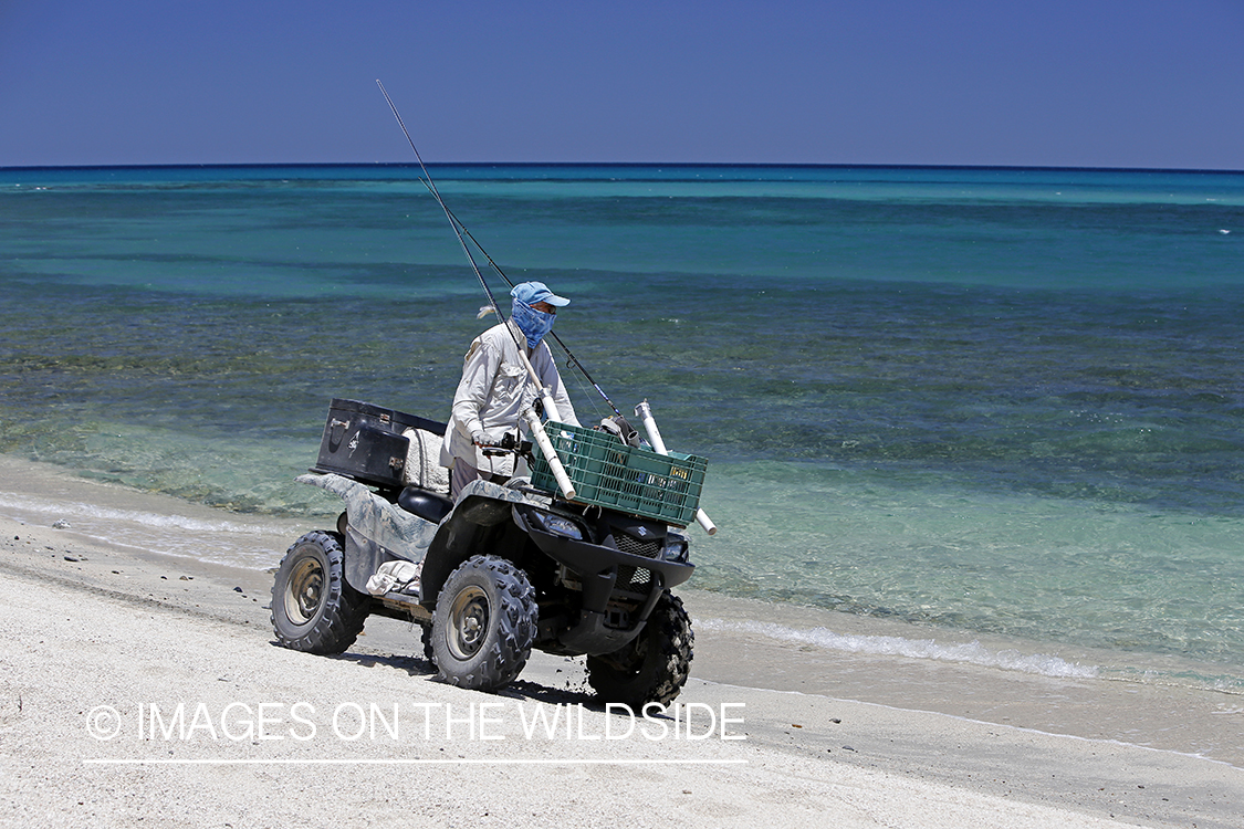 Chasing roosterfish on Baja Peninsula, Mexico.