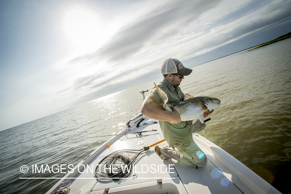 Fisherman with redfish.