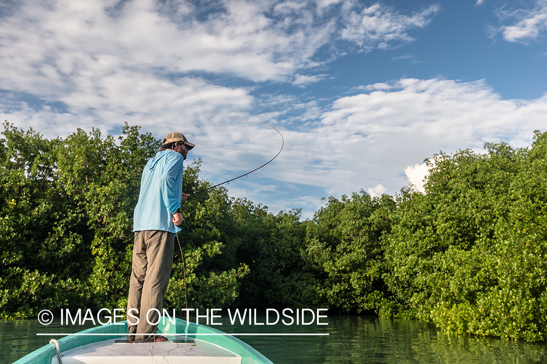 Saltwater flyfishing in Belize.