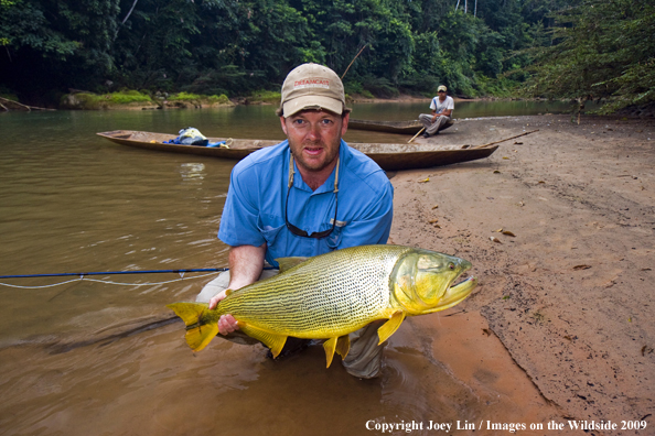 Flyfisherman holding a Golden Dorado