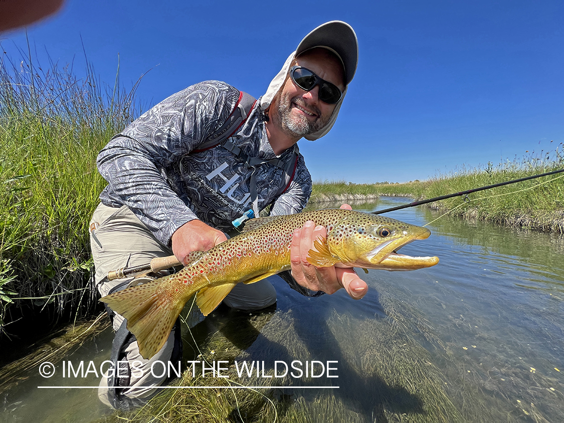 Flyfisherman holding brown trout on stream.