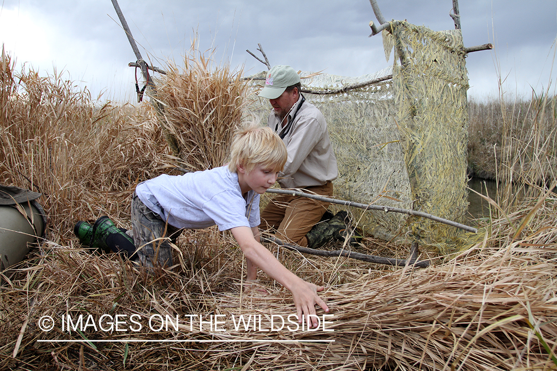 Father and son waterfowl hunters building blind.