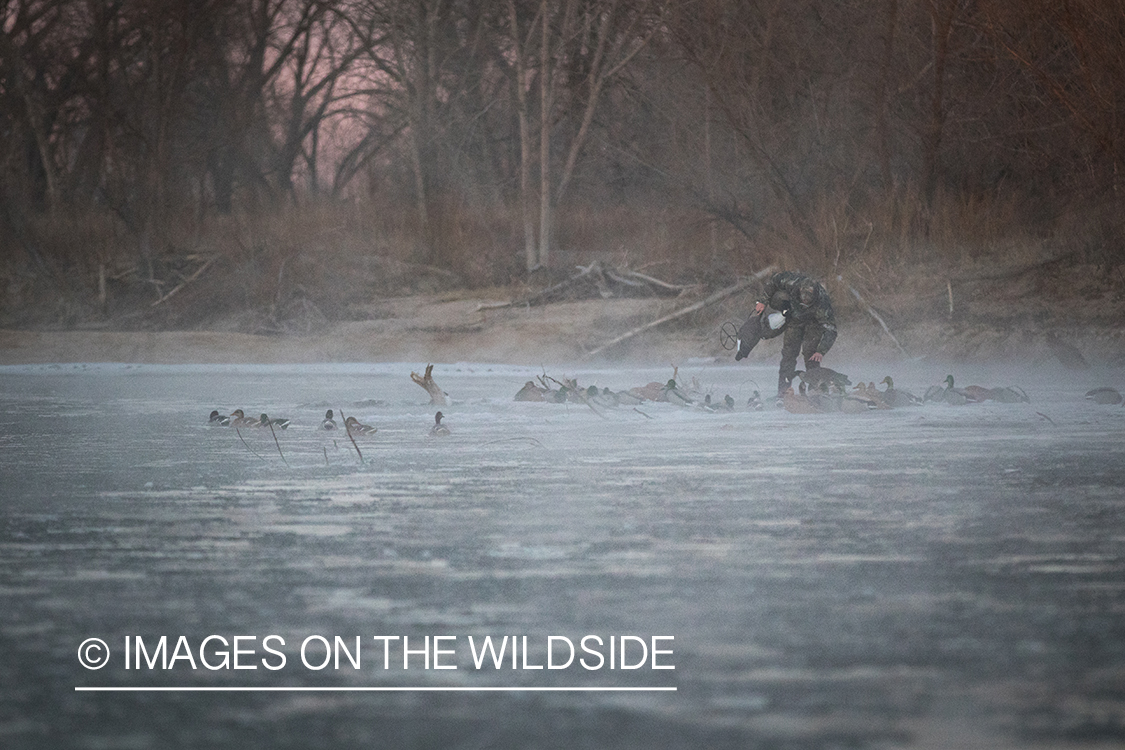 Waterfowl hunting