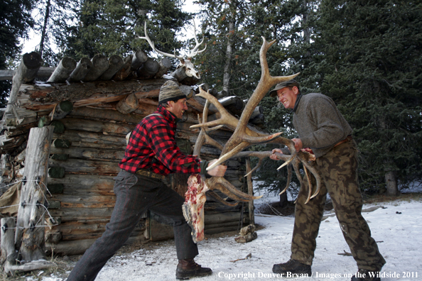 Elk hunters sparring with bagged bulls. 