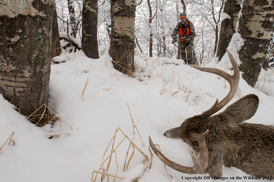 Hunter with bagged white-tailed deer.