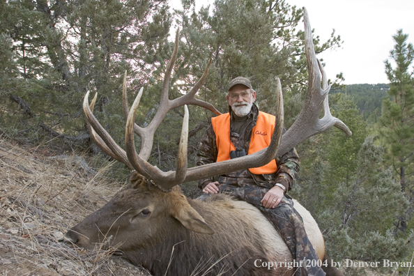 Big game hunter with bagged elk.