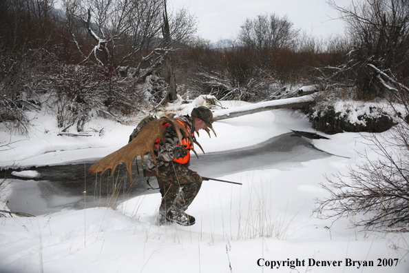 Moose hunter in field