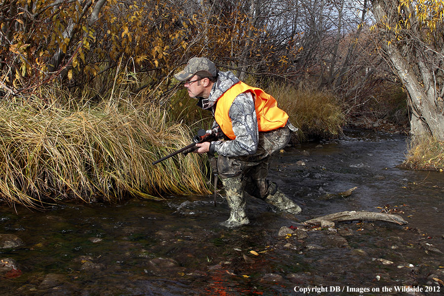 Hunter tracking moose.