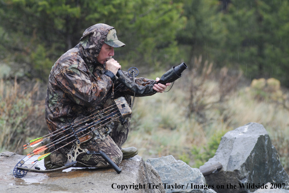 Bowhunter bugling for elk