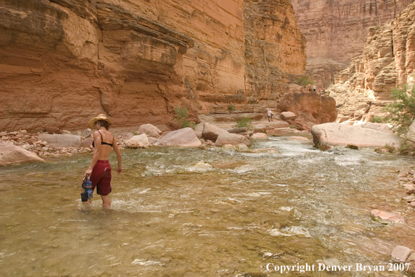 Hikers exploring along feeder stream of the Colorado River.  Grand Canyon.