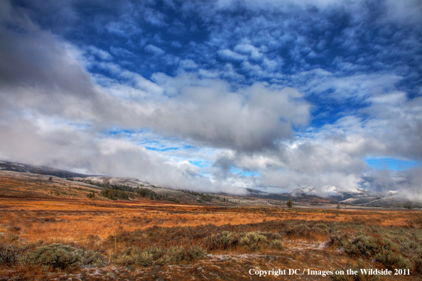 Yellowstone National Park prairie