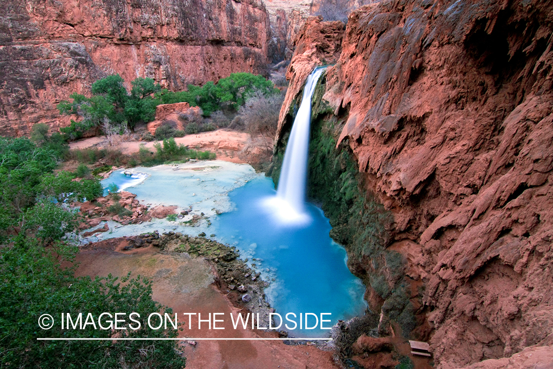 Havasu Falls