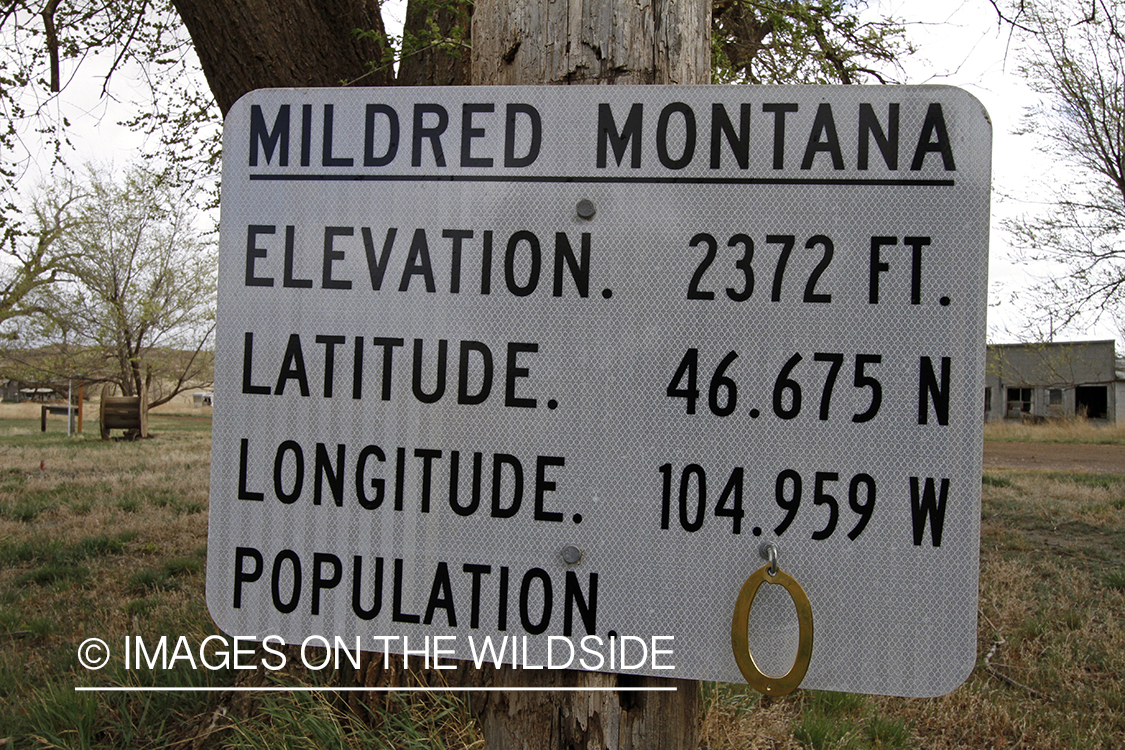 Small Town Population Sign 