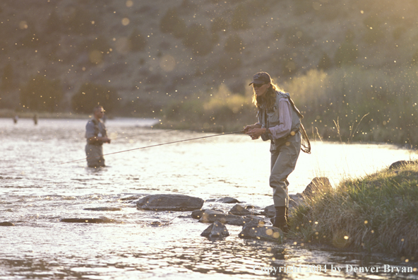 Woman flyfishing during a hatch.